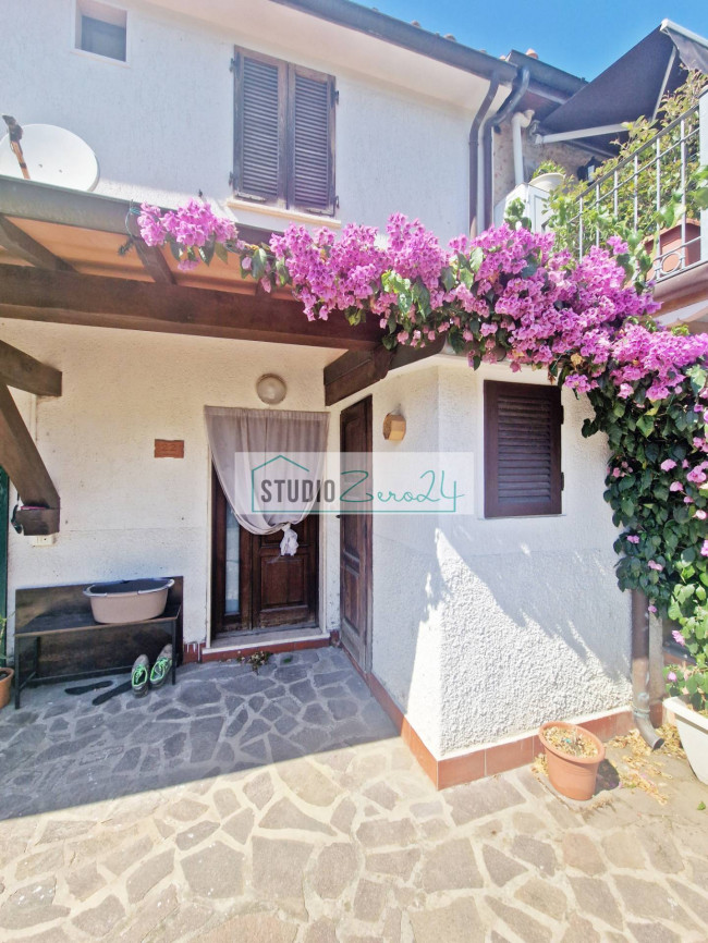 Cielo Terra in vendita a Camaiore