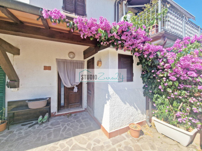 Cielo Terra in vendita a Camaiore