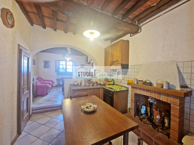 Cielo Terra in vendita a Camaiore