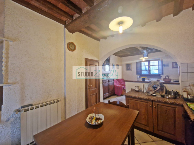 Cielo Terra in vendita a Camaiore