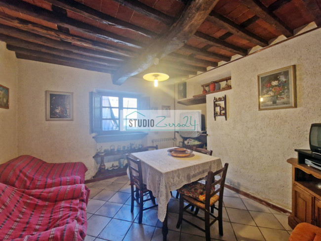 Cielo Terra in vendita a Camaiore