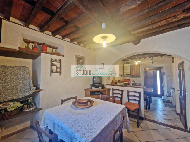 Cielo Terra in vendita a Camaiore