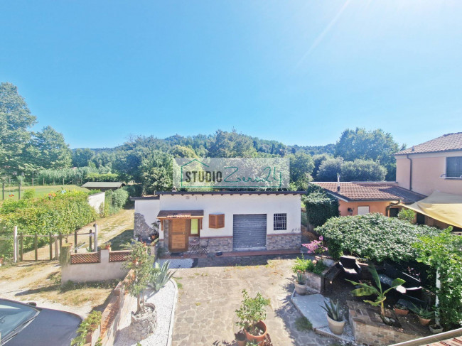 Cielo Terra in vendita a Camaiore