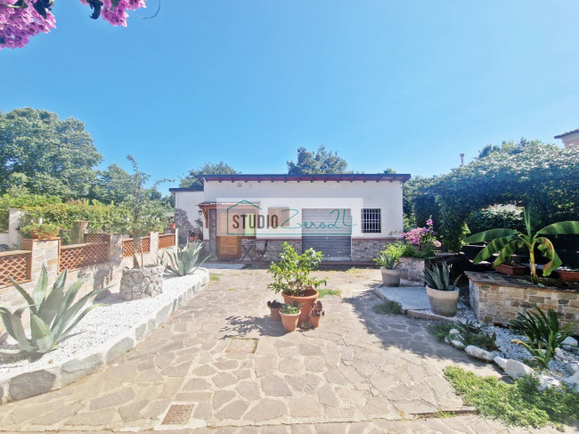 Cielo Terra in vendita a Camaiore