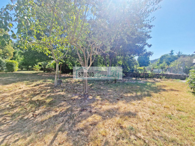 Cielo Terra in vendita a Camaiore