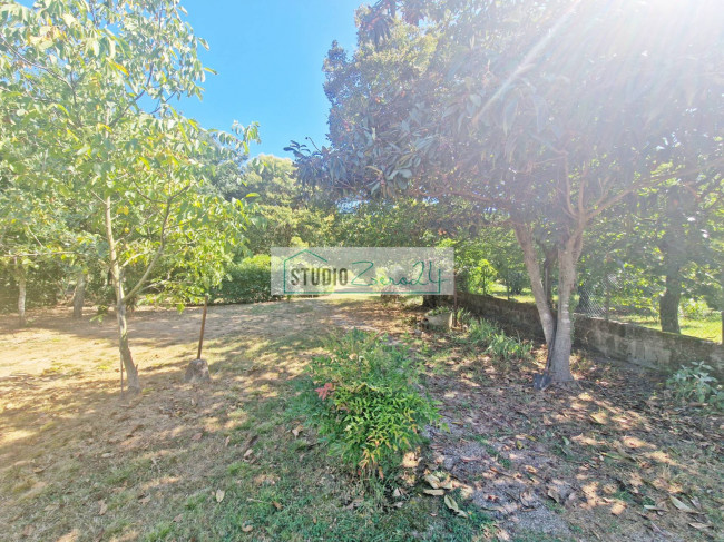 Cielo Terra in vendita a Camaiore