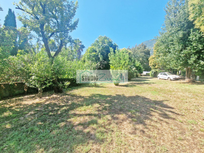 Cielo Terra in vendita a Camaiore