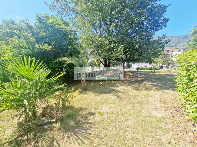 Cielo Terra in vendita a Camaiore