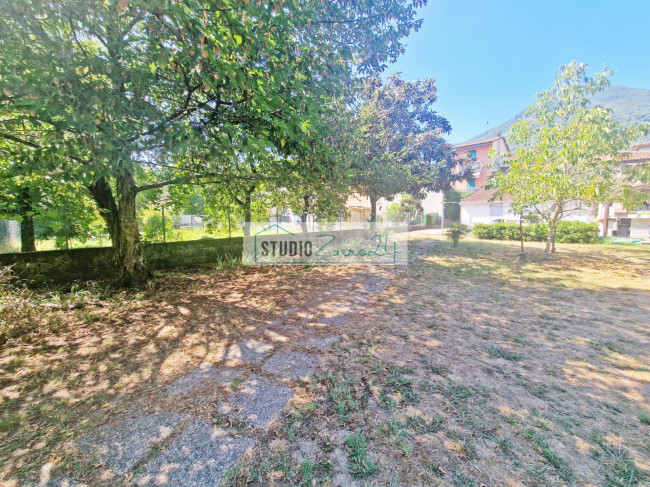 Cielo Terra in vendita a Camaiore