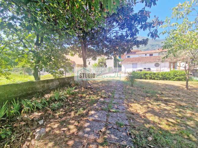 Cielo Terra in vendita a Camaiore