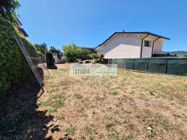 Cielo Terra in vendita a Camaiore