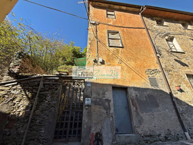 Cielo Terra in vendita a Camaiore