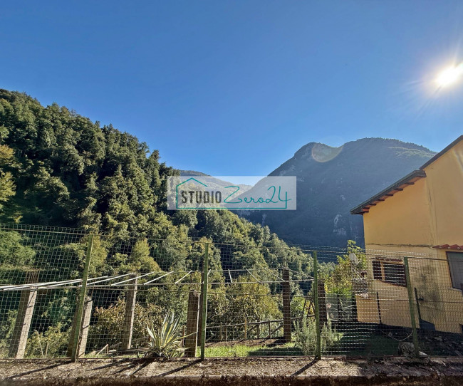 Cielo Terra in vendita a Camaiore