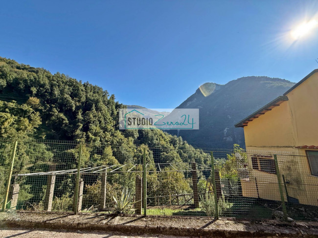 Cielo Terra in vendita a Camaiore