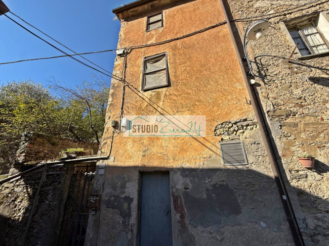 Cielo Terra in vendita a Camaiore