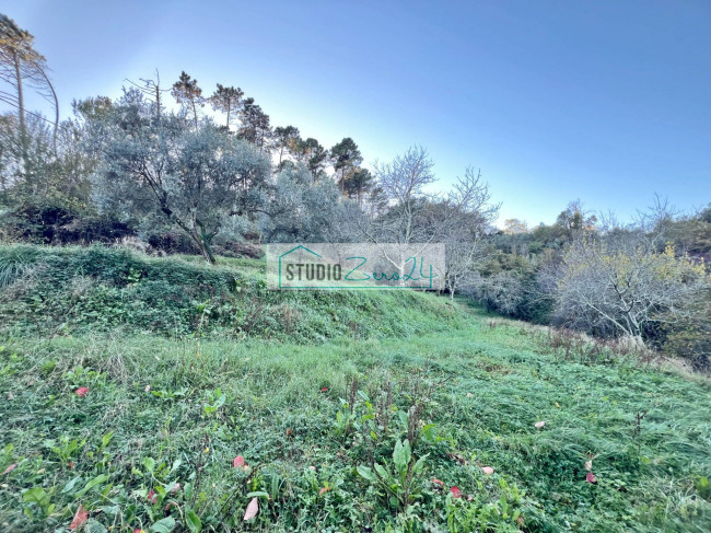 Casa singola in vendita a Camaiore