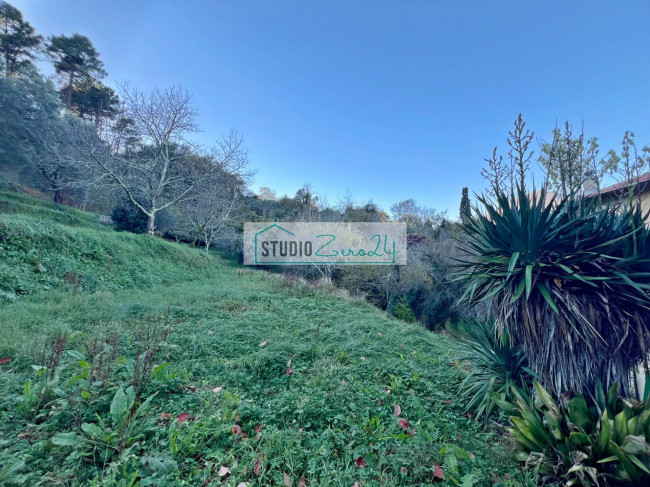 Casa singola in vendita a Camaiore