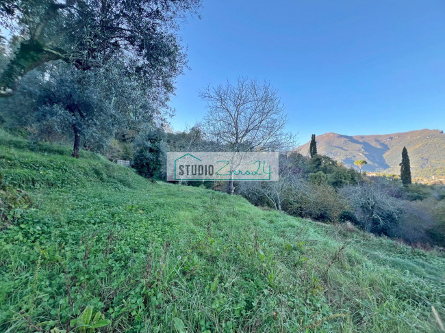 Casa singola in vendita a Camaiore