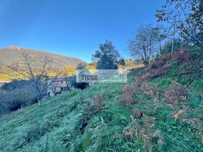 Casa singola in vendita a Camaiore