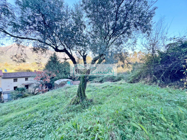 Casa singola in vendita a Camaiore