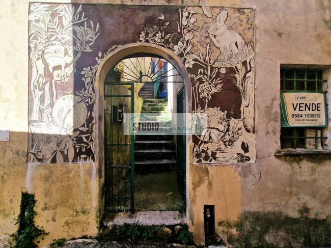 Cielo Terra in vendita a Camaiore