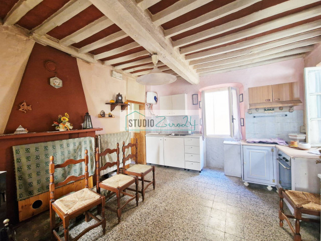 Cielo Terra in vendita a Camaiore