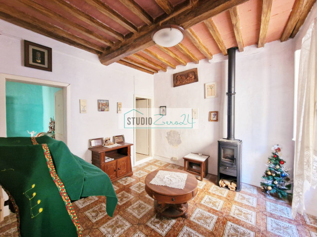 Cielo Terra in vendita a Camaiore