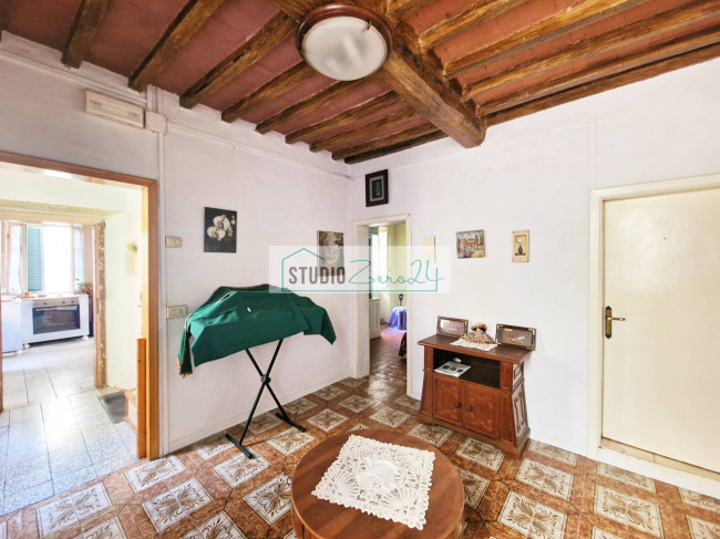 Cielo Terra in vendita a Camaiore