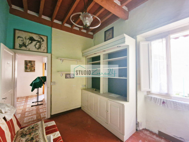 Cielo Terra in vendita a Camaiore