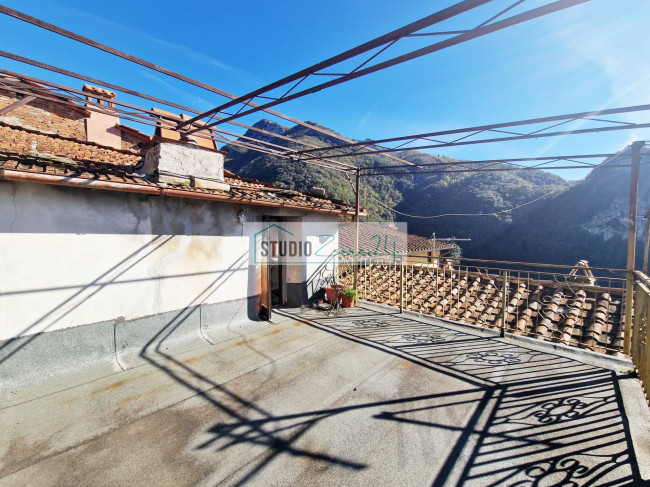 Cielo Terra in vendita a Camaiore