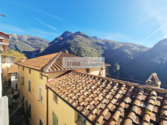 Cielo Terra in vendita a Camaiore