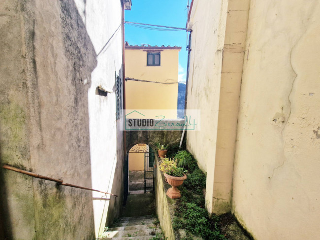 Cielo Terra in vendita a Camaiore