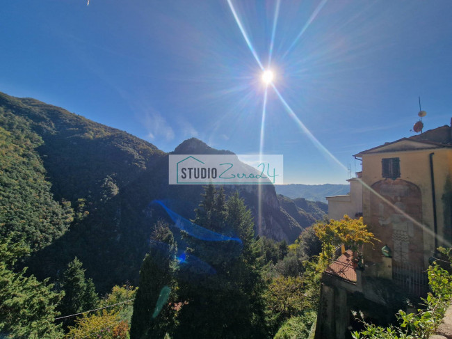 Cielo Terra in vendita a Camaiore