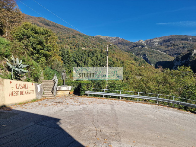 Cielo Terra in vendita a Camaiore