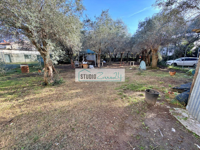 Casa singola in vendita a Seravezza