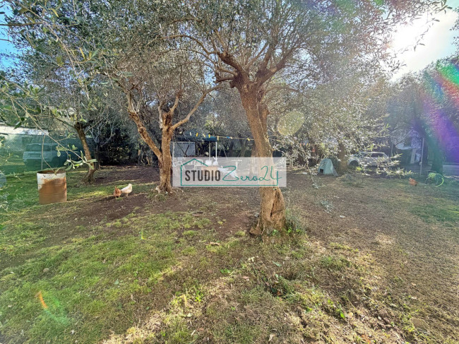 Casa singola in vendita a Seravezza