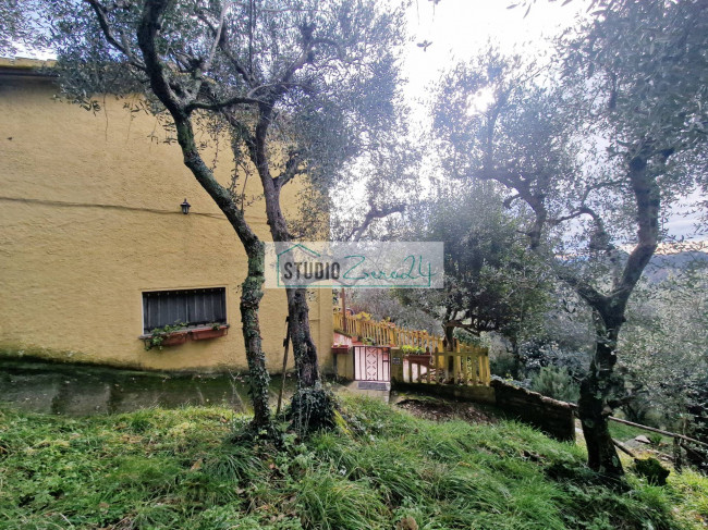 Villetta Bifamiliare in vendita a Camaiore