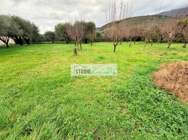 Villa in vendita a Pietrasanta