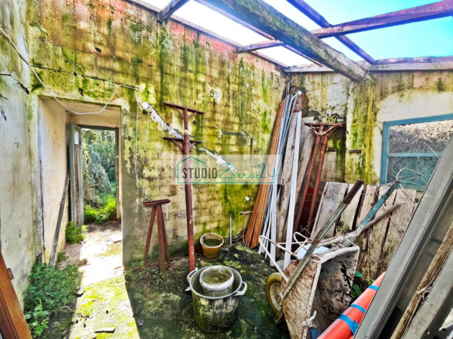 Cielo Terra in vendita a Massarosa