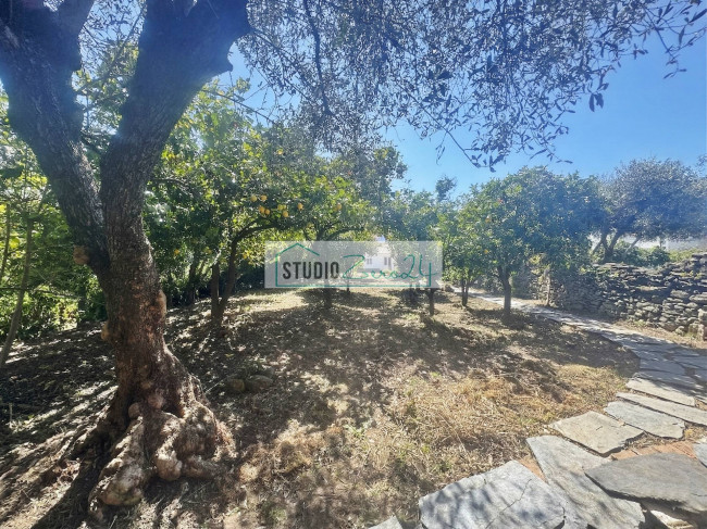 Casa singola in vendita a Massa