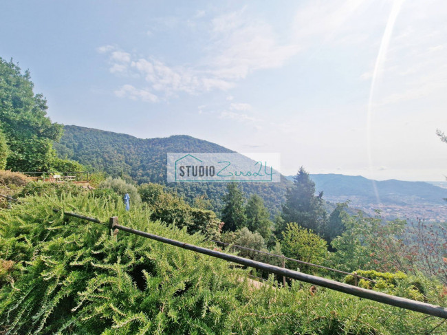 Casa singola in vendita a Camaiore