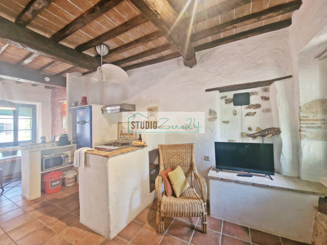 Cielo Terra in vendita a Camaiore