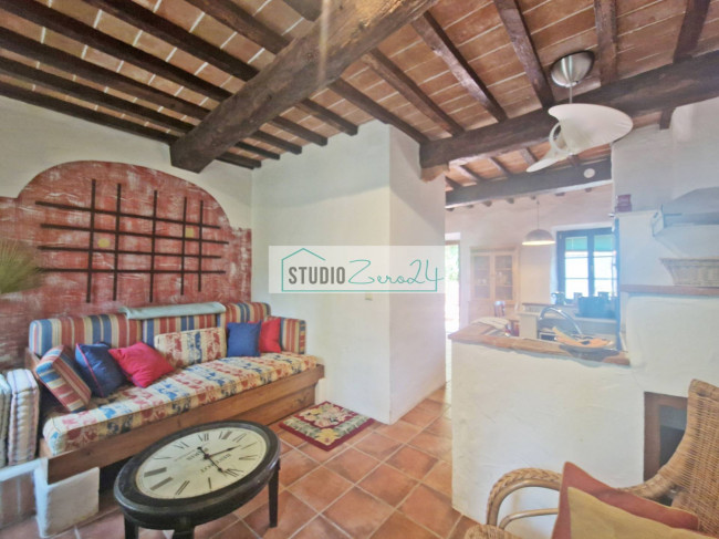 Cielo Terra in vendita a Camaiore