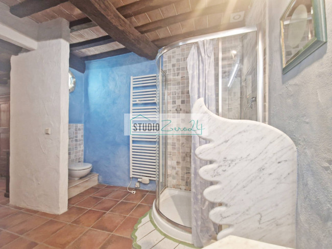 Cielo Terra in vendita a Camaiore