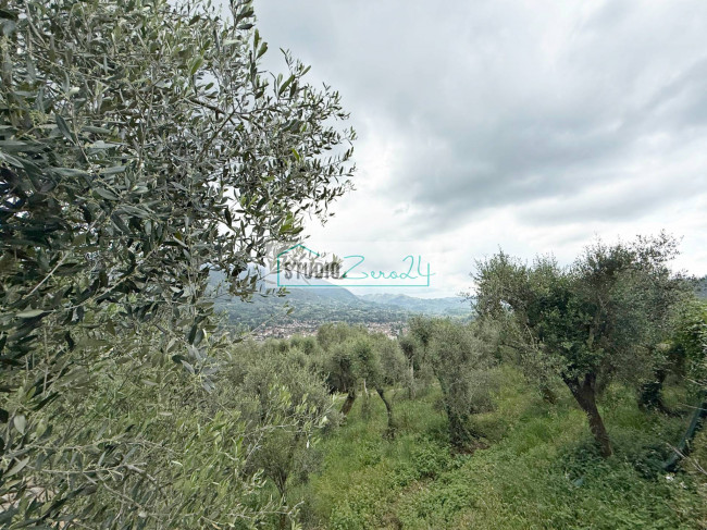 Terraced House for sale in Camaiore