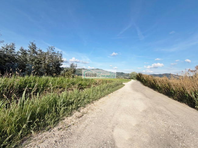 Agricultural Land for sale in Massarosa
