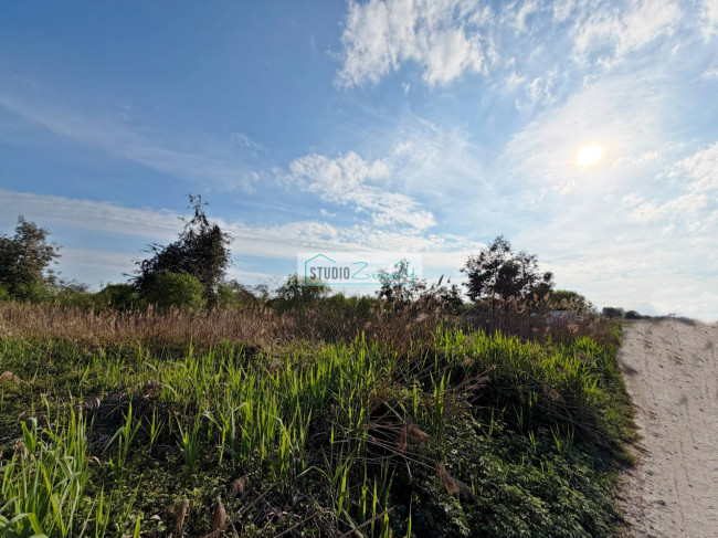 Agricultural Land for sale in Massarosa