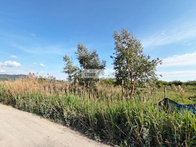 Agricultural Land for sale in Massarosa