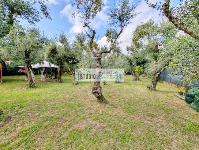 Rustic for sale in Seravezza