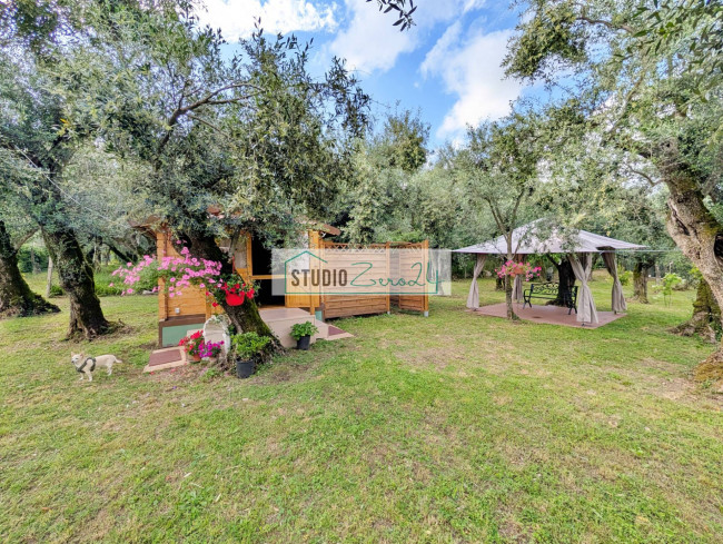 Rustic for sale in Seravezza